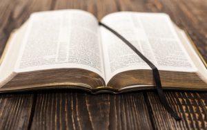 The bible: Reasons for Resistance