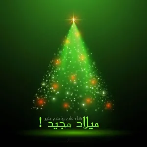 صور عيد الميلاد 2024 Christmas Pictures