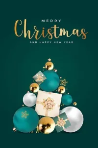 صور عيد الميلاد 2024 Christmas Pictures