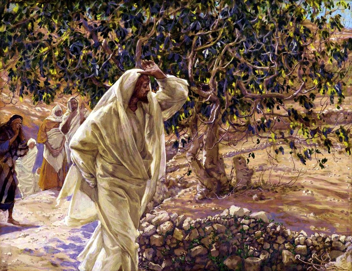 لماذا لعن المسيح شجرة التينة؟ هل كان لا يعلم الوقت؟ لأنه لم يكن وقت التين مرقس 11: 13